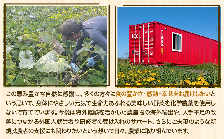 北海道当別町産化学農薬不使用ミニトマト：甘っこ1.5kg