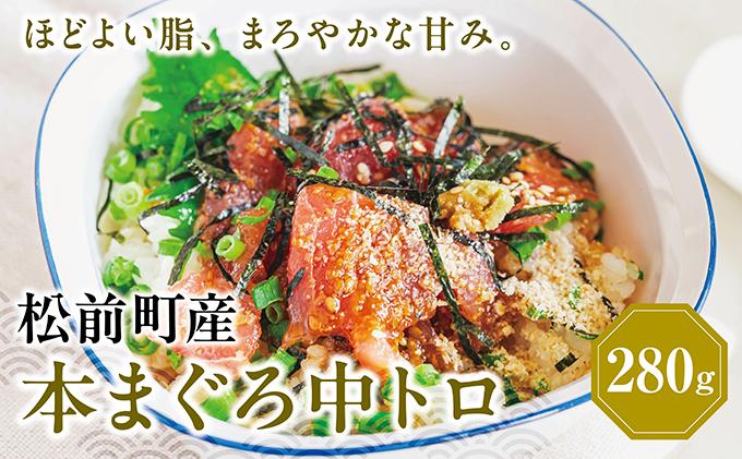 超低温冷凍 松前町産本まぐろ中トロ　280ｇ MATK026