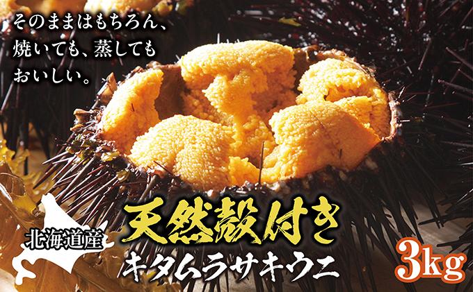 【北海道産】天然殻付きキタムラサキウニ 3kg(2024年6月以降順次発送 MATB013