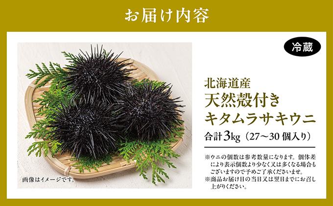 【北海道産】天然殻付きキタムラサキウニ 3kg(2024年6月以降順次発送 MATB013