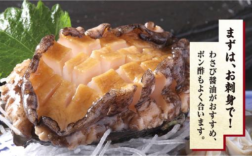 【期間限定】活アワビ約500g Mサイズ MATB008