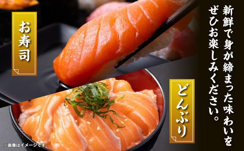 北海桜サーモン 1本活締め 2~3kg 新鮮 刺身 冷蔵 陸上養殖 生食可 桜色 トラウト サーモン 鮭 生鮭 サケ さけ 一本 1匹 一匹 姿 まるごと 国産 北海道産 道産 松前産 産地直送 お取り寄せ 海鮮 鮮魚 魚介 活〆 グルメ 北海道 松前町 送料無料 MATP001