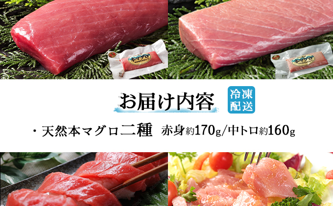 天然本マグロ中トロ＆赤身二種盛り MATB006