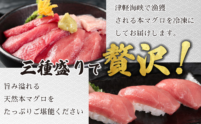天然本マグロ三種盛り MATB002