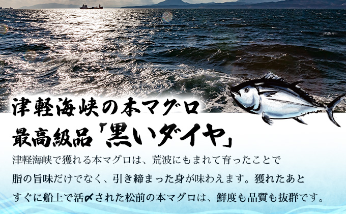 天然本マグロ中トロ＆赤身二種盛り MATB006