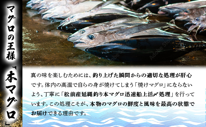 荳企主ア九≧縺セ縺譛ャ繝槭げ繝ュ繧ュ繝繝390g MATB005
