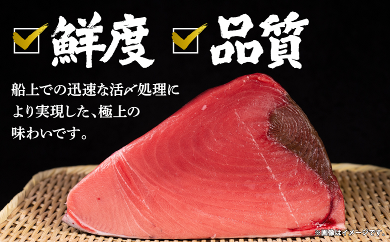 本マグロ切り落し 400g 1個80g 小分け 赤身 トロ 中トロ ヨネタ水産 冷凍 津軽海峡産 本まぐろ 鮪 船上活〆 新鮮 刺身 鉄火丼 海鮮丼 手巻き寿司 お手軽 簡単調理 産地直送 お取り寄せ グルメ 北海道 松前町 送料無料 MATK037