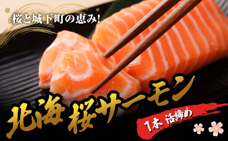 北海桜サーモン 1本活締め 2~3kg 新鮮 刺身 冷蔵 陸上養殖 生食可 桜色 トラウト サーモン 鮭 生鮭 サケ さけ 一本 1匹 一匹 姿 まるごと 国産 北海道産 道産 松前産 産地直送 お取り寄せ 海鮮 鮮魚 魚介 活〆 グルメ 北海道 松前町 送料無料 MATP001