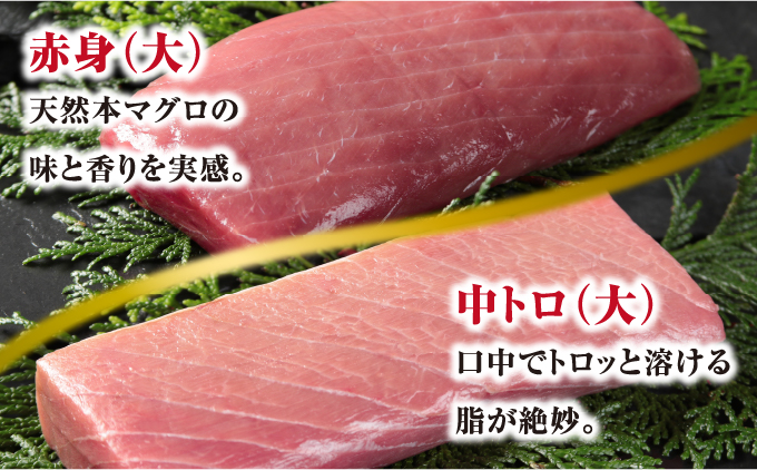 上野屋のマグロざんまいセット MATB007