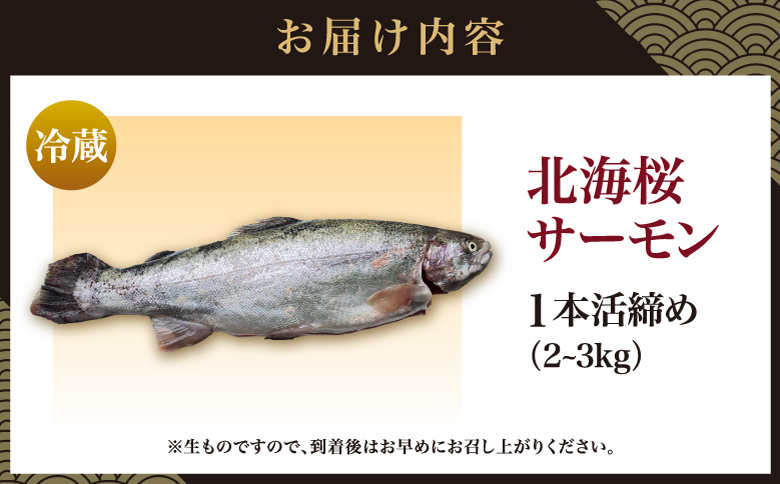 北海桜サーモン 1本活締め 2~3kg 新鮮 刺身 冷蔵 陸上養殖 生食可 桜色 トラウト サーモン 鮭 生鮭 サケ さけ 一本 1匹 一匹 姿 まるごと 国産 北海道産 道産 松前産 産地直送 お取り寄せ 海鮮 鮮魚 魚介 活〆 グルメ 北海道 松前町 送料無料 MATP001
