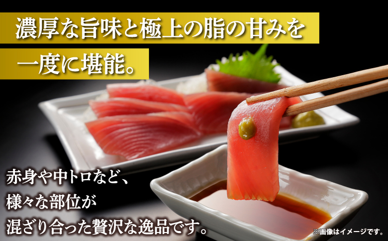 本マグロ切り落し 240g 1個80g 小分け 赤身 トロ 中トロ ヨネタ水産 冷凍 津軽海峡産 本まぐろ 鮪 船上活〆 新鮮 刺身 鉄火丼 海鮮丼 手巻き寿司 お手軽 簡単調理 産地直送 お取り寄せ グルメ 北海道 松前町 送料無料 MATK036