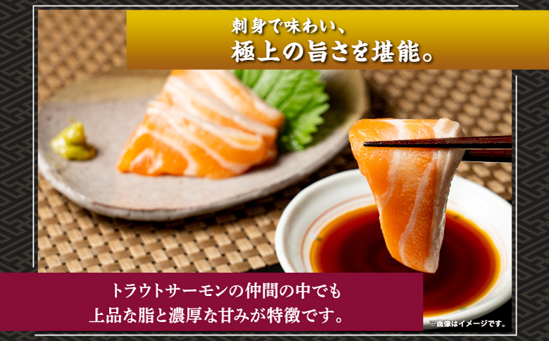 北海桜サーモン 1本活締め 2~3kg 新鮮 刺身 冷蔵 陸上養殖 生食可 桜色 トラウト サーモン 鮭 生鮭 サケ さけ 一本 1匹 一匹 姿 まるごと 国産 北海道産 道産 松前産 産地直送 お取り寄せ 海鮮 鮮魚 魚介 活〆 グルメ 北海道 松前町 送料無料 MATP001