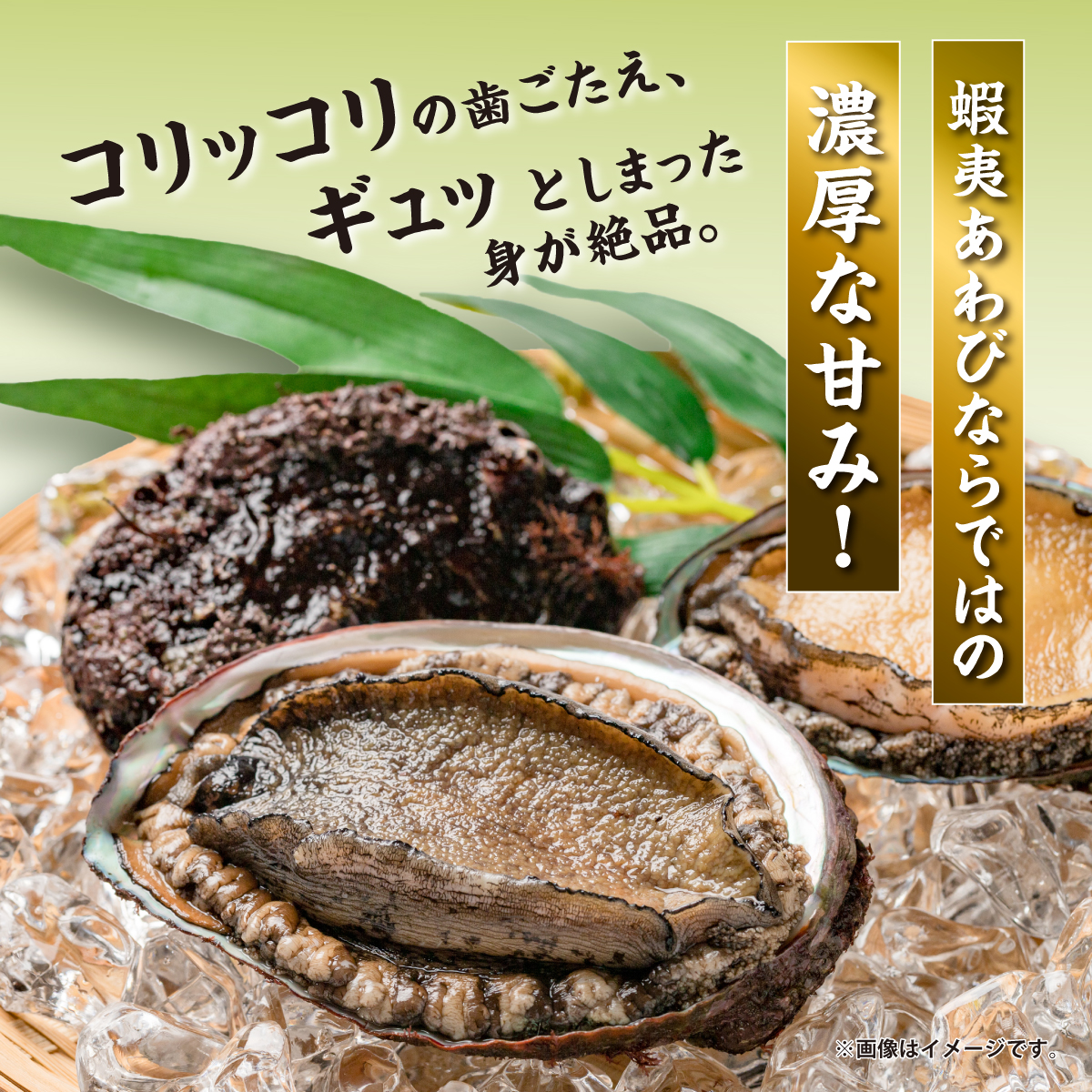 アワビ昆布〆 2パック 1パック80g(あわび40g・がごめ昆布40g) ×2 ヨネタ水産 冷凍 松前産 国産 道産 北海道産 鮑 蝦夷あわび エゾアワビ 肉厚 刺身 お造り 貝 海鮮 昆布締め おつまみ 酒の肴 水産加工品 お取り寄せ グルメ 北海道 松前町 送料無料 MATK034