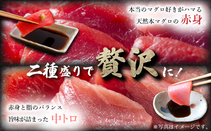 天然本マグロ中トロ＆赤身二種盛り MATB006