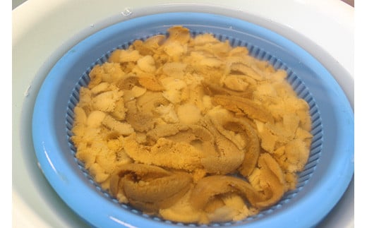 【先行予約】令和8年6月上旬より順次発送《数量限定》北海道福島町 キタムラサキウニ 塩水ウニパック 100×2パック FKF001 