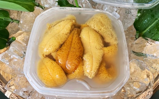 【先行予約】令和8年6月上旬より順次発送《数量限定》北海道福島町 キタムラサキウニ 塩水ウニパック 100×2パック FKF001 