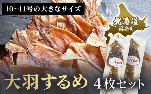 大羽するめ 10〜11号 ４枚セット