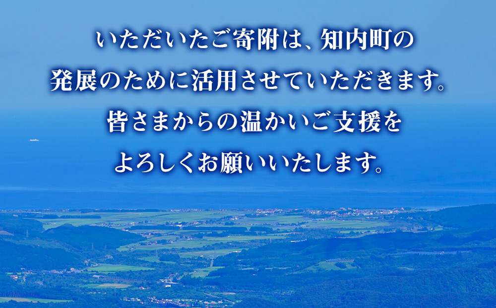北海道 知内町☆応援寄付金☆【返礼品なし】10,000