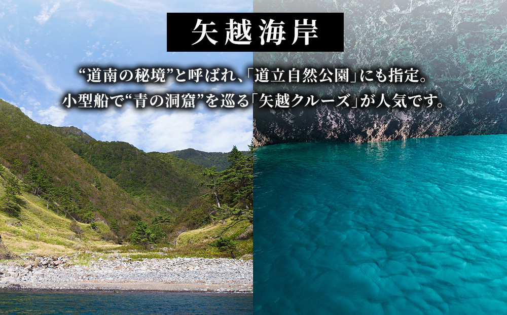 北海道 知内町☆応援寄付金☆【返礼品なし】10,000