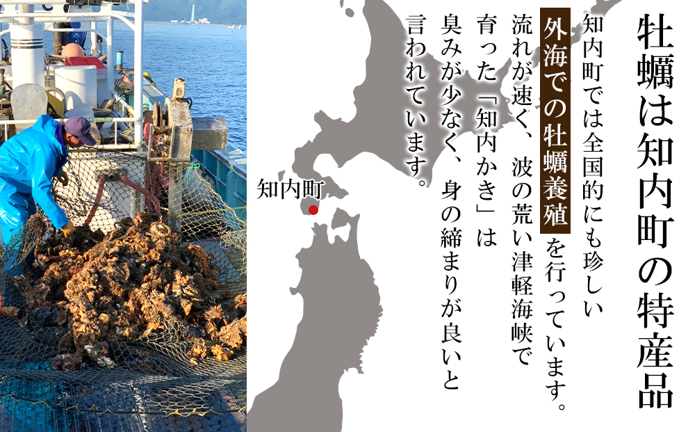  冷凍カキ約200g× 2袋セット 牡蠣 海鮮 魚介 かき 冷凍＜上磯郡漁業協同組合＞