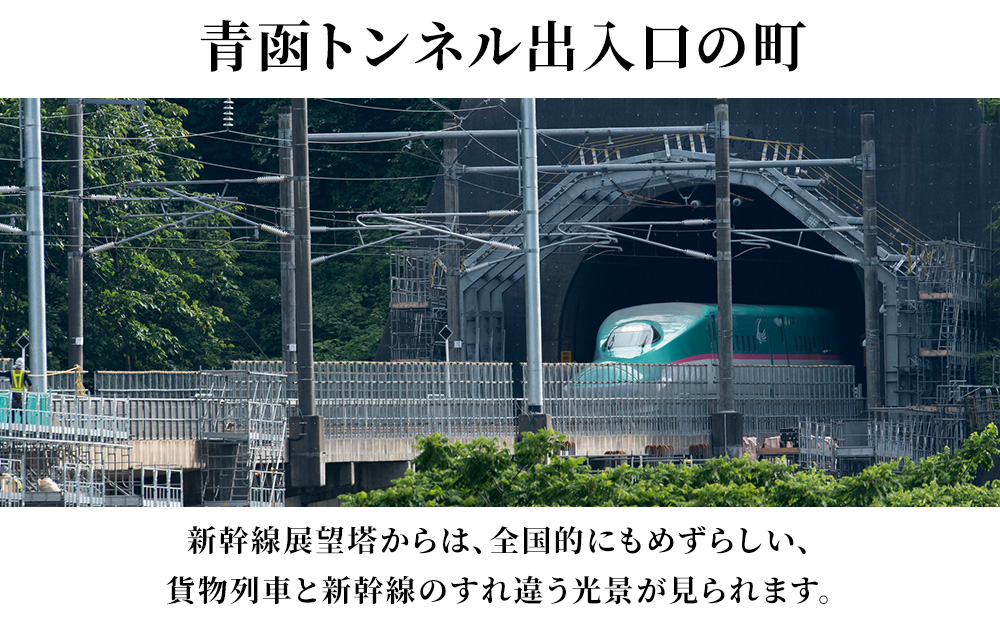 北海道 知内町☆応援寄付金☆【返礼品なし】10,000