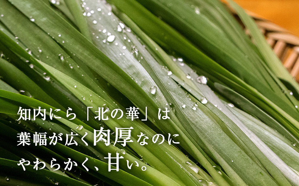 知内ニラ餃子（10個入り）2袋【知内観光協会】