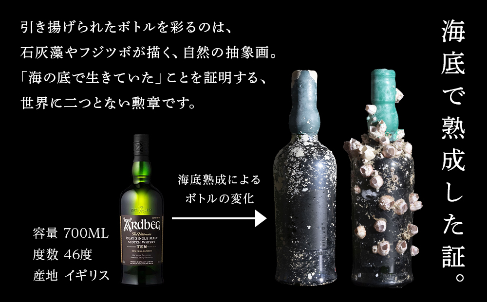 【2026.12月発送予約】知内海底熟成ウイスキーG