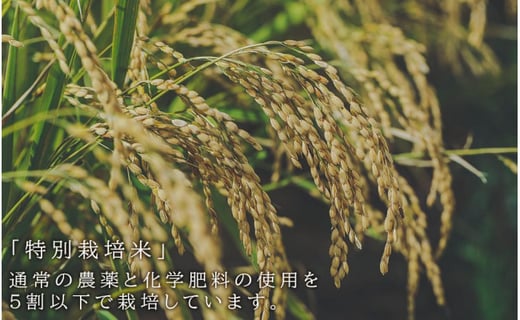 「真空パックのお米450g×4種を2個ずつ計8個」特別栽培米産地直送《帰山農園》