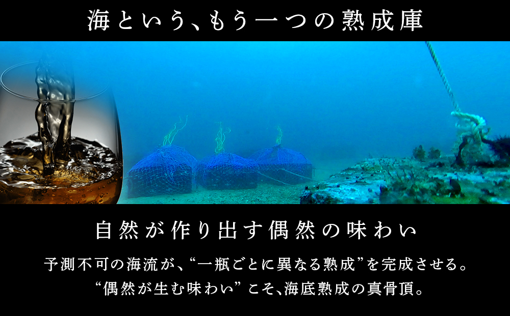 ãæµ·åºçæã·ã£ã³ãã³Eãã©ã³ãœã³ããªã¥ãã