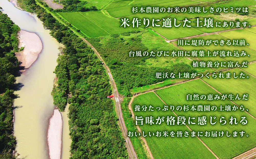 【新米発送】ゆめぴりか 玄米 5kg 《杉本農園》