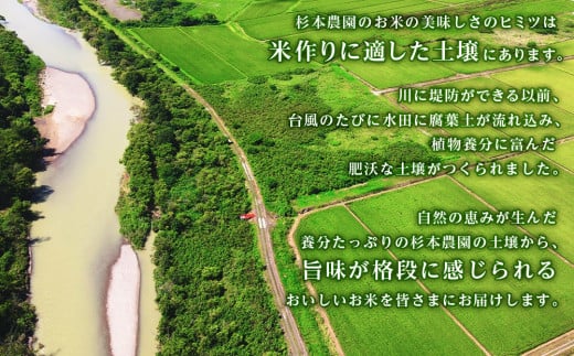 【新米発送・定期便 6カ月】ゆめぴりか 5kg《杉本農園》