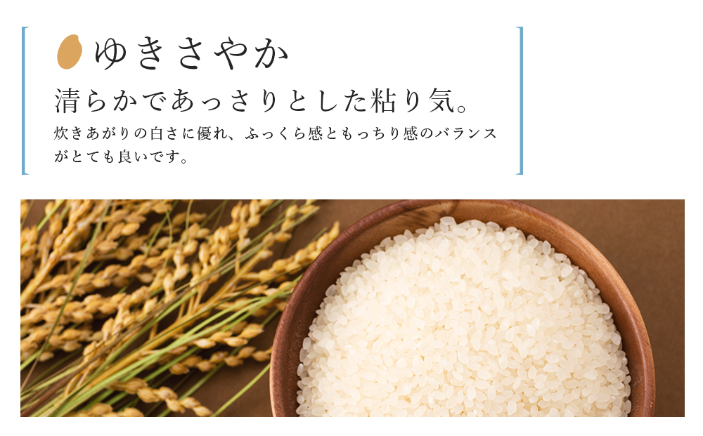 「ゆきさやか 10kg」特別栽培米産地直送《帰山農園》