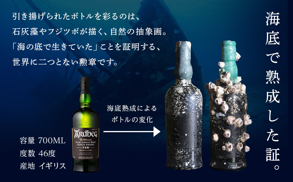 知内【海底熟成ウイスキーG】×海峡育ち殻付きかき 25個入り