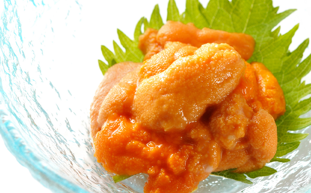 ☆知内町加工☆塩水エゾバフンウニ１００g【マルタカ高橋商店】