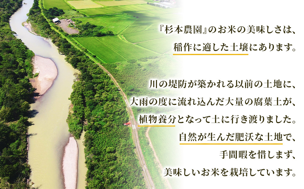 【新米予約】【定期便4回】ふっくりんこ玄米10kg≪杉本農園≫