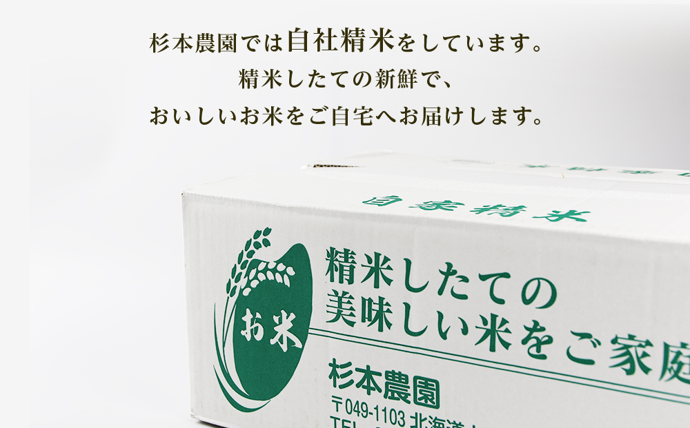 【新米発送・定期便 10カ月】ゆめぴりか 玄米 10kg 《杉本農園》