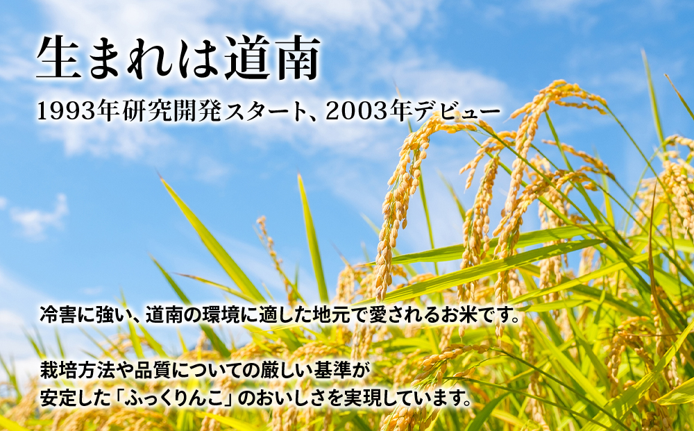 【新米発送・定期便 6カ月】★定期便★ 知内産 ふっくりんこ10kg×6回　JA新はこだて【定期便・頒布会特集】