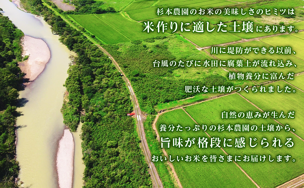 【新米発送】ゆめぴりか・ふっくりんこ食べ比べセット 10kg（5kg×2）《杉本農園》