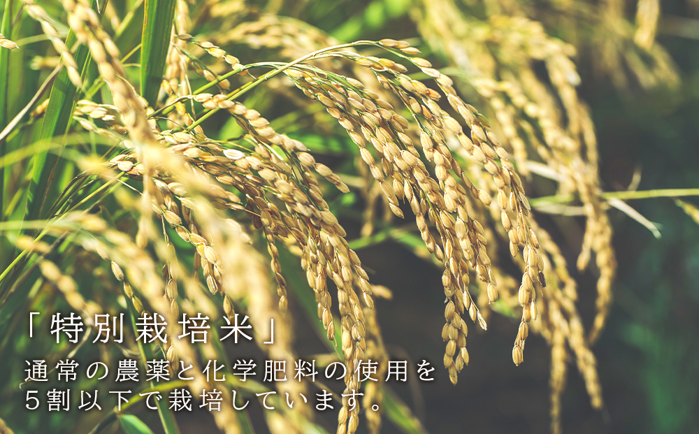 「真空パックのお米450g 人気3品種おまかせセット」特別栽培米産地直送《帰山農園》