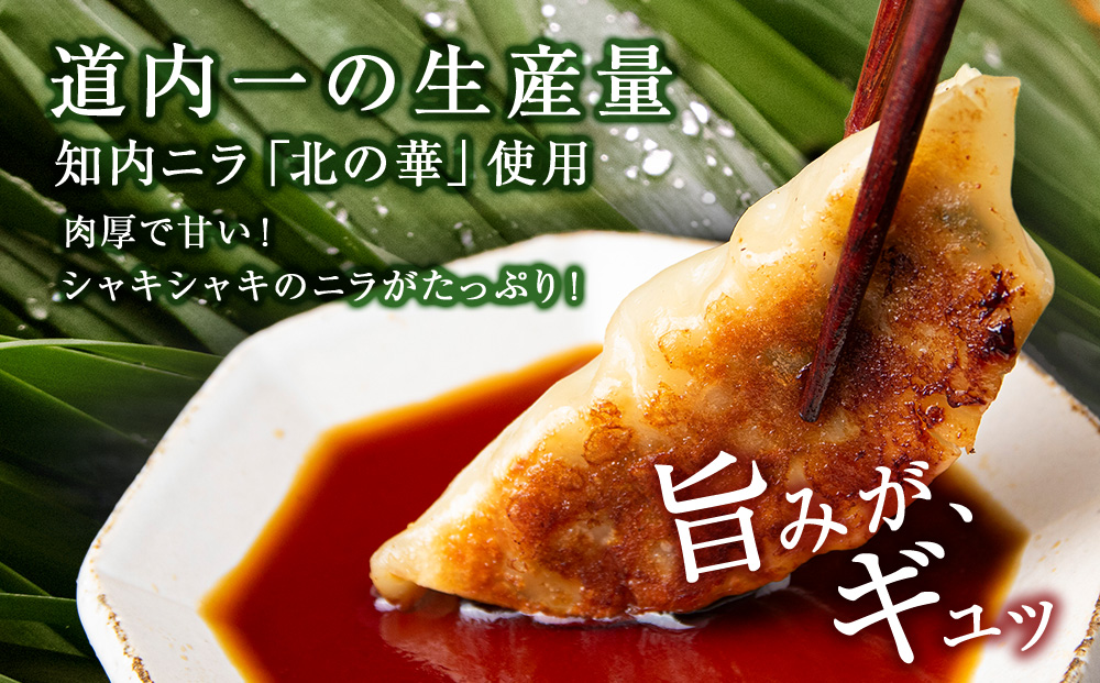 知内ニラ餃子（10個入り）2袋【知内観光協会】