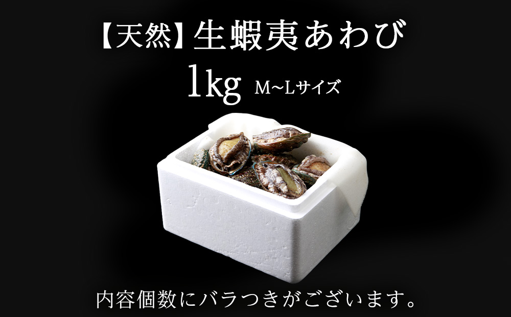 北海道 知内産　天然かつあわび約1kg（M～L詰め合わせ）≪上磯漁業協同組合≫