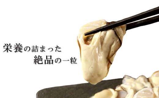 生かき むき身 350g×4本 ＜上磯郡漁業協同組合＞