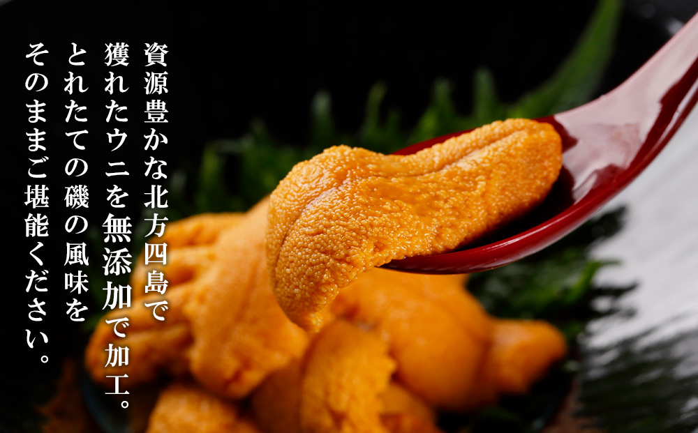 ☆知内町加工☆塩水エゾバフンウニ１００g【マルタカ高橋商店】