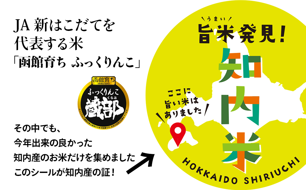 【新米発送・定期便 6カ月】★定期便★ 知内産 ふっくりんこ5kg×6回　JA新はこだて【定期便・頒布会特集】