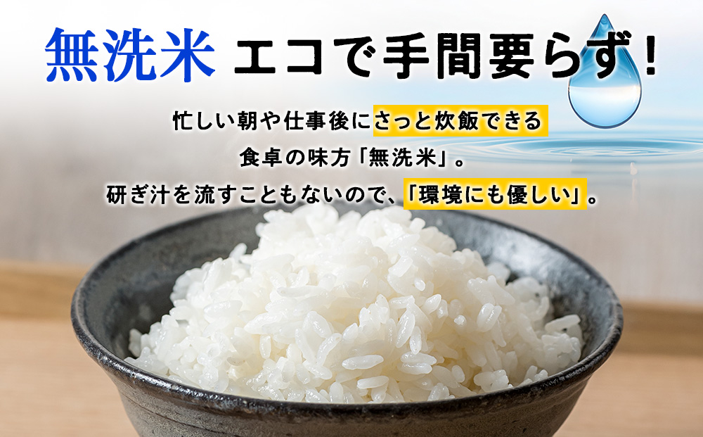 æ°ç±³äºçŽ ç¡æŽç±³ããµã£ãããã 5kg ãJAæ°ã¯ãã ãŠã ç¥å
çº ãµãããšçŽçš ãã åæµ·éç£ãç±³ åæµ·éç±³ çŸå³ãããç±³ åæµ·éç£ç±³ ãã©ã³ãç±³