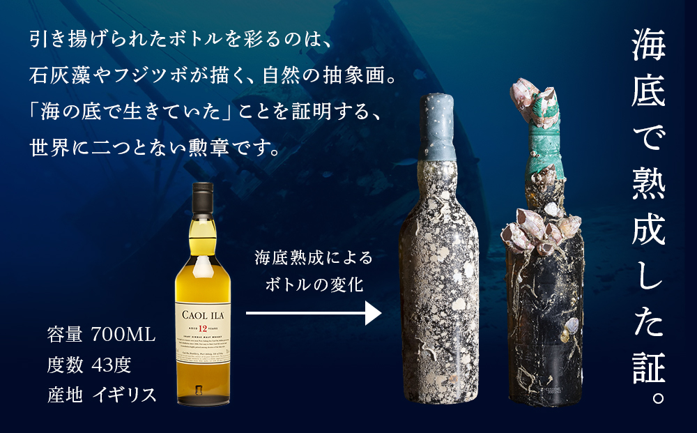 知内【海底熟成ウイスキーF】×海峡育ち殻付きかき 25個入り