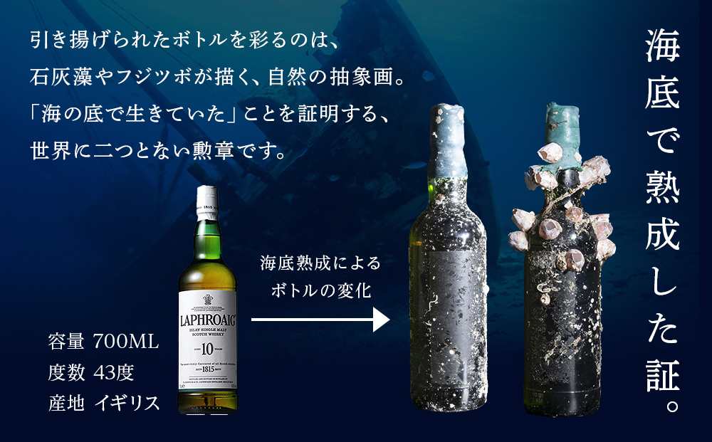 知内【海底熟成ウイスキーD】×海峡育ち殻付きかき 25個入り
