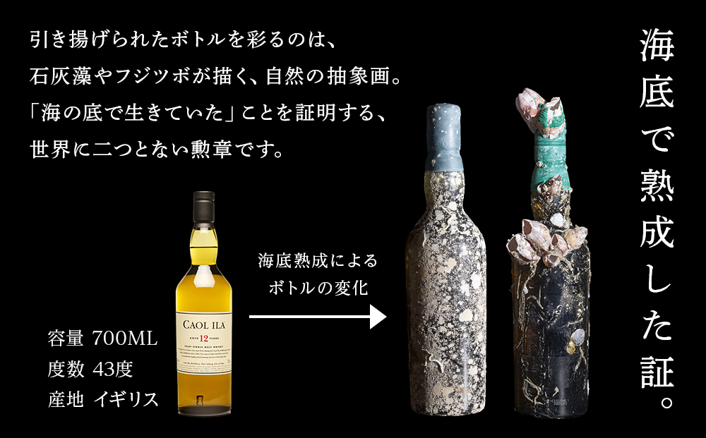 知内海底熟成ウイスキー F