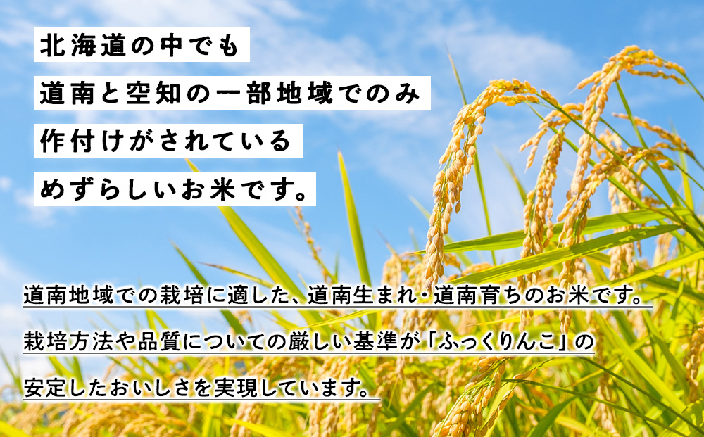 【定期便3回】 ふっくりんこ 5kg 【JA新はこだて】 知内町 ふるさと納税 玄米 こめ 北海道産お米 北海道米 美味しいお米 北海道産米 ブランド米