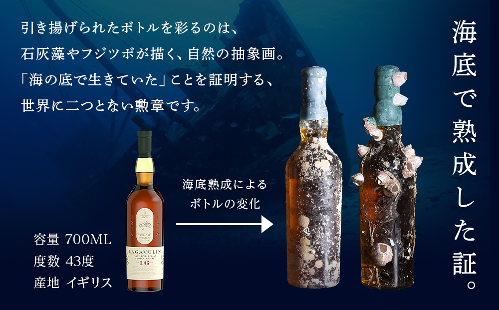 知内【海底熟成ウイスキーH】×海峡育ち殻付きかき 25個入り